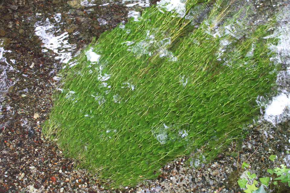 c0178561_18565638.jpg