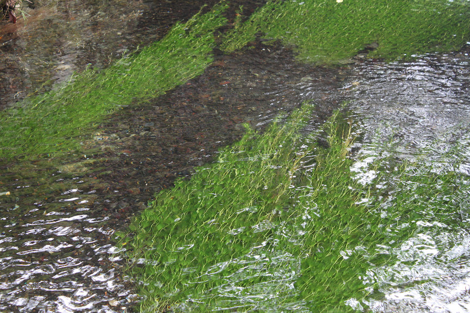 c0178561_1923031.jpg