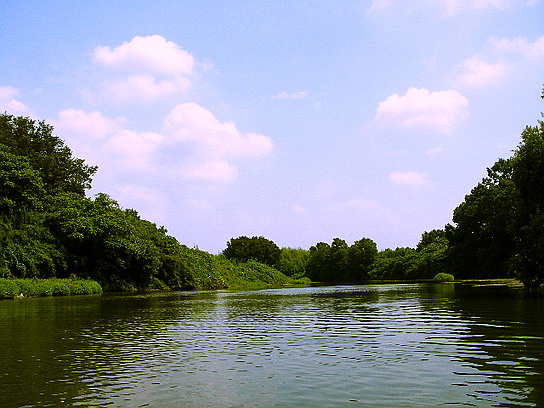 f0084561_11455564.jpg
