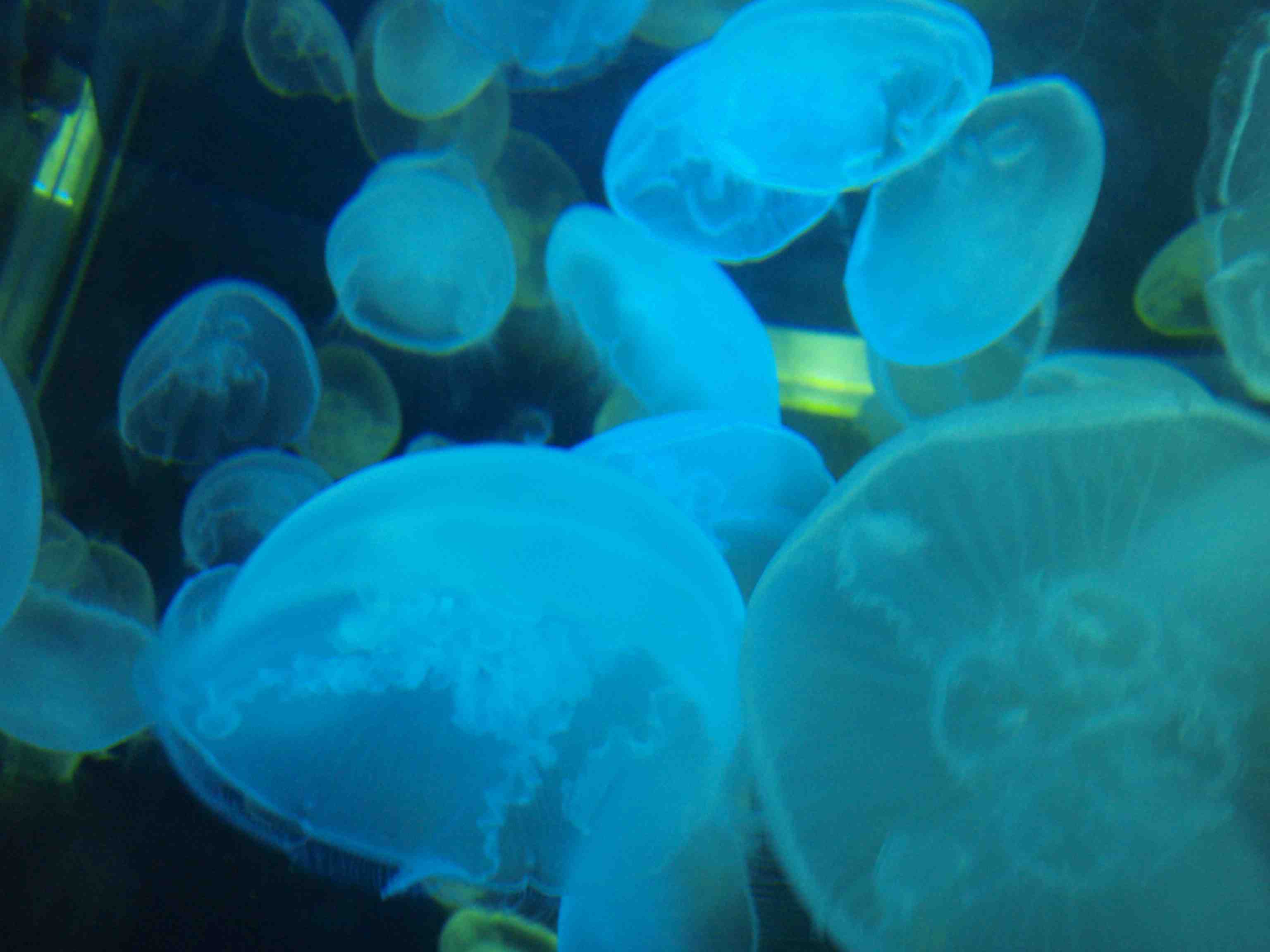 f0163561_0392538.jpg