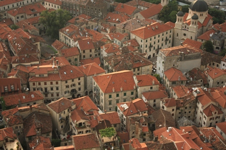 a0154765_15454462.jpg