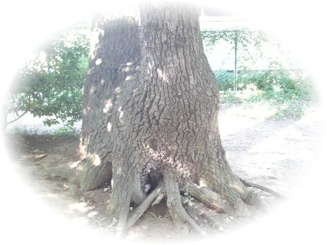 f0065167_1483293.jpg