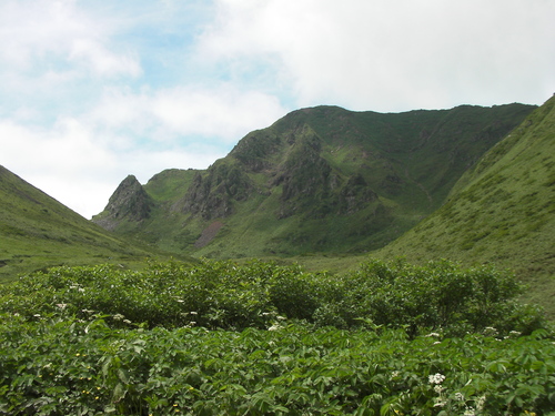 f0204469_20404110.jpg