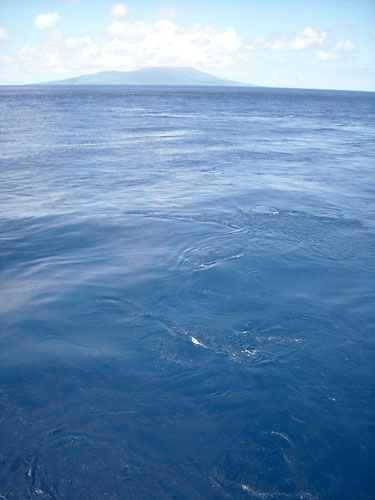 e0097770_1162528.jpg