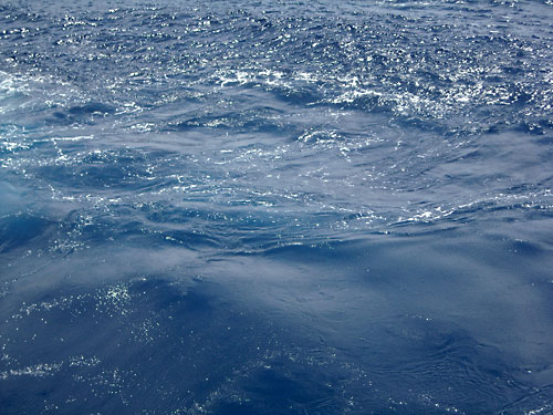 e0097770_116720.jpg