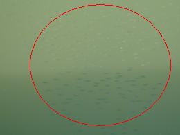 e0175370_952282.jpg
