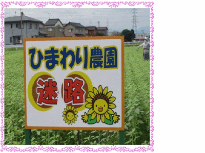 b0149071_9335054.gif