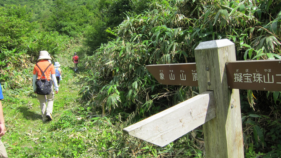 d0141173_8591815.jpg