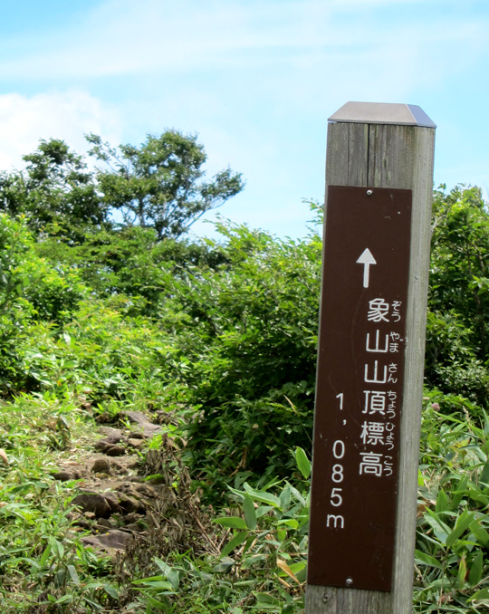 d0141173_8595391.jpg