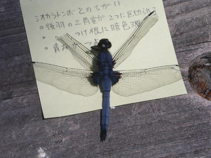 e0118274_1924593.jpg