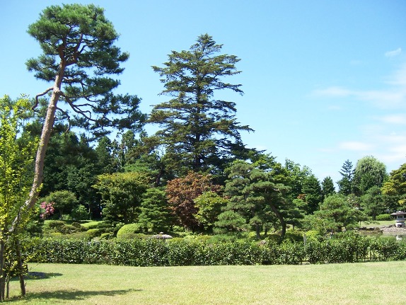 c0198781_11501413.jpg