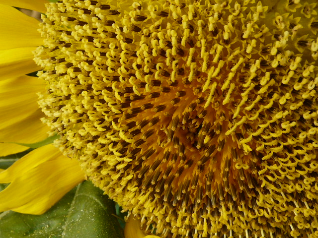 e0145782_13443539.jpg