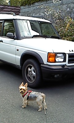 e0123587_910178.jpg