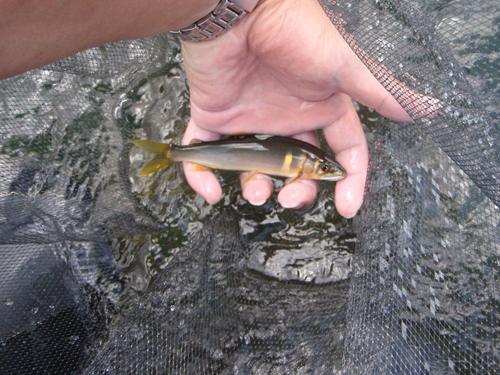 c0146788_18154692.jpg