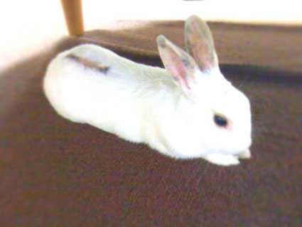 f0201191_21691.jpg
