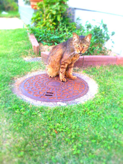 f0201191_2193790.jpg