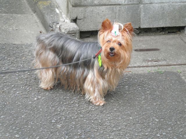 f0130894_2112165.jpg