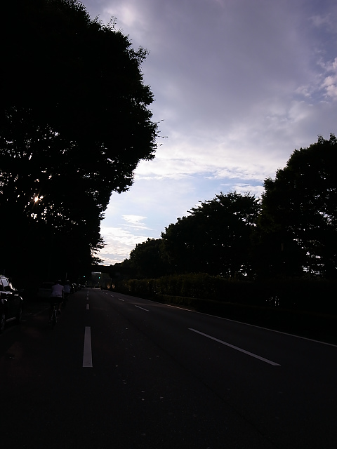 d0081997_8525318.jpg