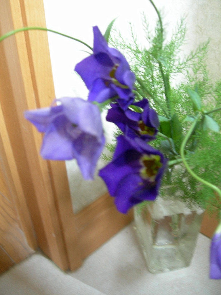c0220700_181113100.jpg
