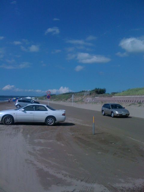 a0169501_20251655.jpg