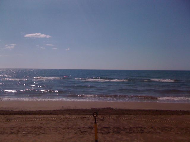a0169501_208345.jpg