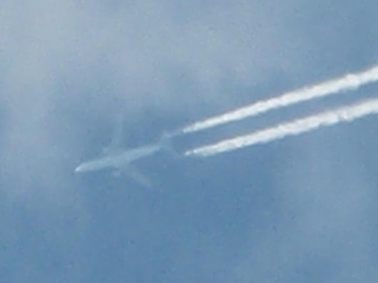 b0055202_0164557.jpg