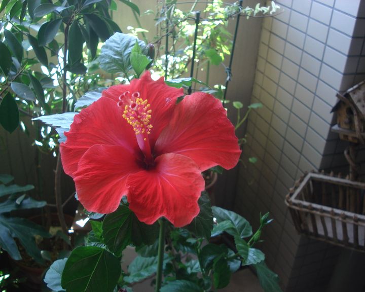 b0148106_1041430.jpg