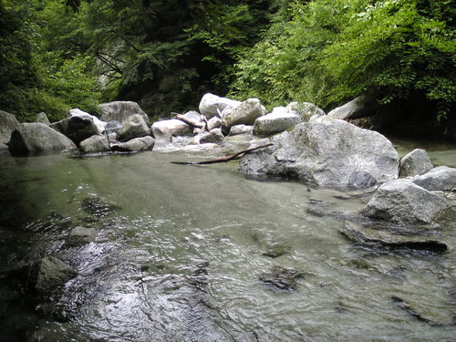 d0149306_835212.jpg