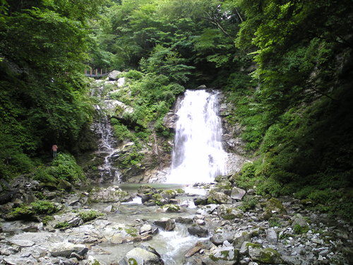 d0149306_8391638.jpg
