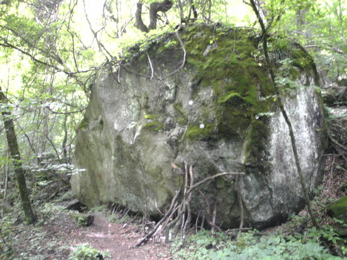 d0149306_8415956.jpg