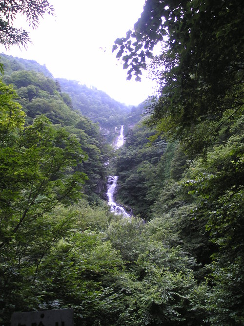 d0149306_8434763.jpg