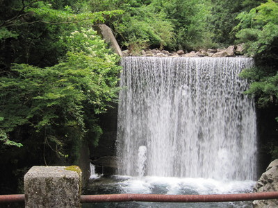 a0150807_119747.jpg