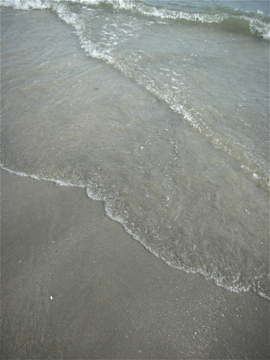c0145209_211225100.jpg