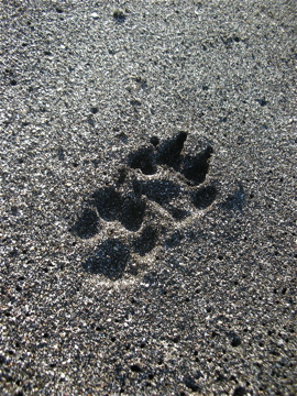 c0145209_23223775.jpg