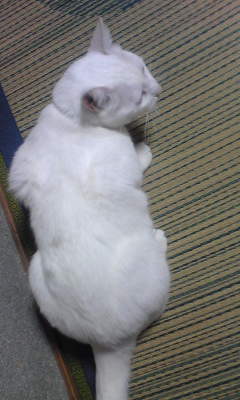 c0180209_21575429.jpg