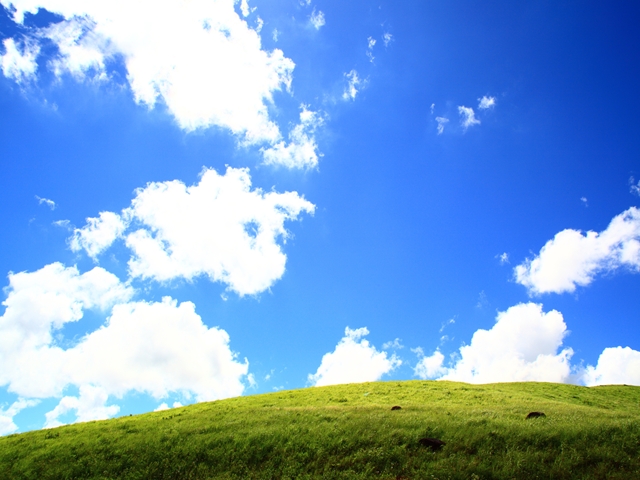 c0146510_1824535.jpg