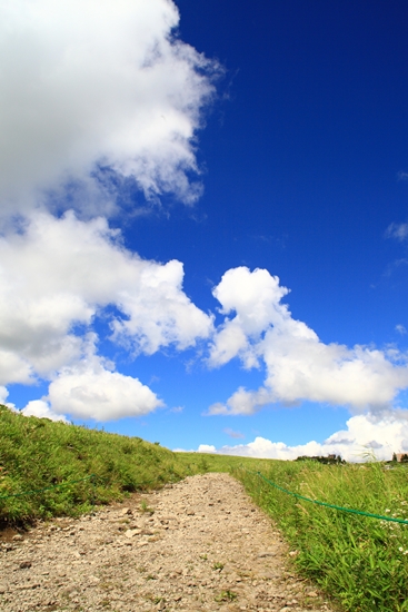 c0146510_1834155.jpg