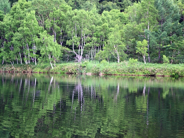 c0146510_1874428.jpg