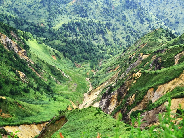 c0146510_188103.jpg