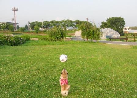 e0078510_22323850.jpg