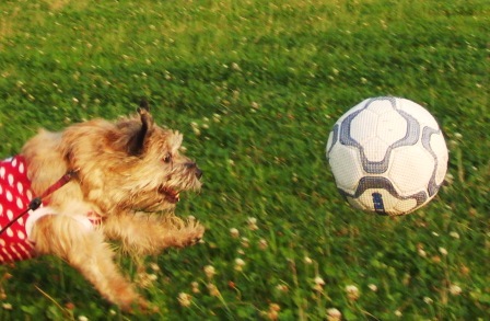 e0078510_22551454.jpg