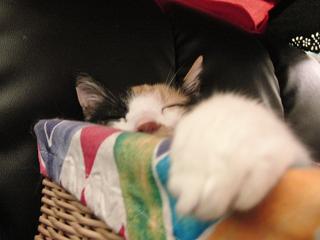 c0201113_2151331.jpg