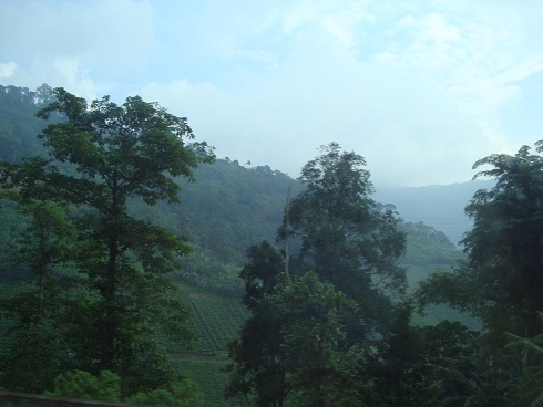 c0145615_1737878.jpg