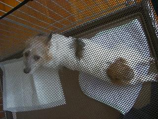 a0089120_10204061.jpg