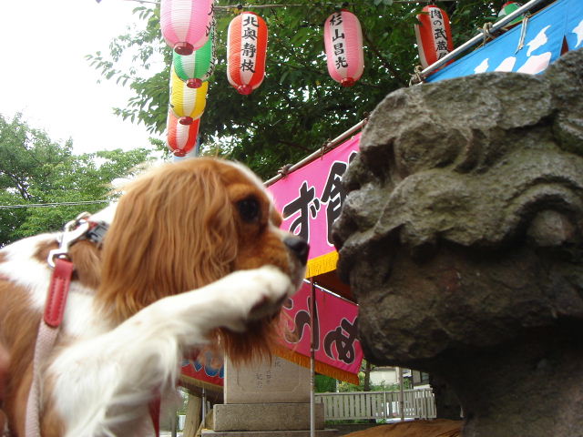 f0214121_21432767.jpg