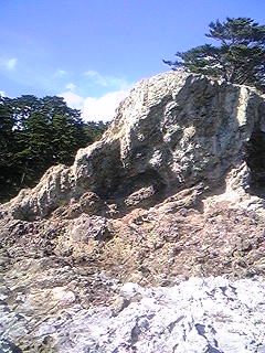 f0028123_2092324.jpg
