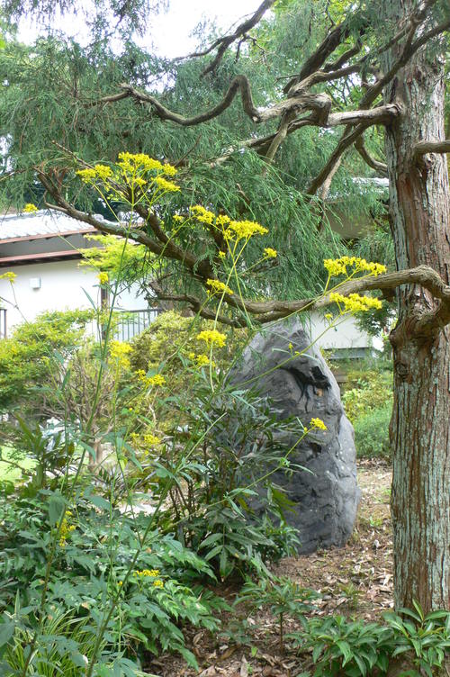 f0060424_2311212.jpg