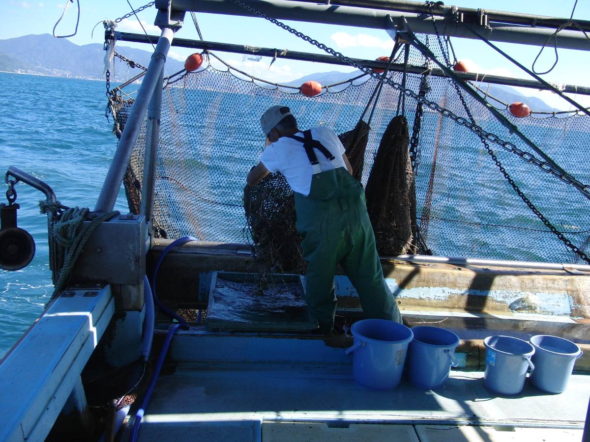 c0020725_19273166.jpg