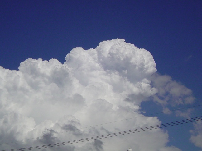 c0085028_19301036.jpg