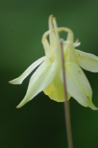 c0210728_911265.jpg